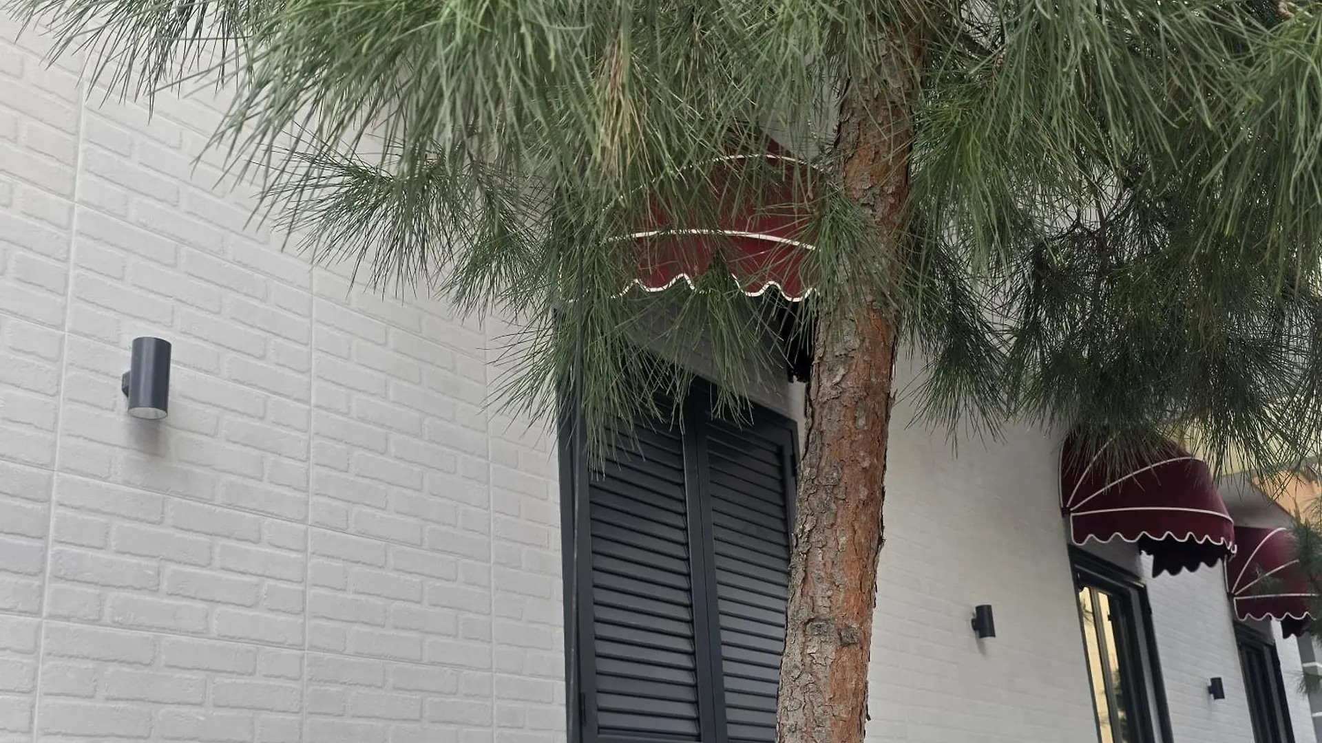 Arbo Boutique Hotel دراس